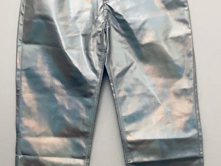 Pants Other By Buddy Love In Silver, Size: 8 Discount