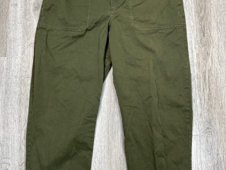 Pants Cargo & Utility By Universal Thread In Green, Size: Xl Hot on Sale