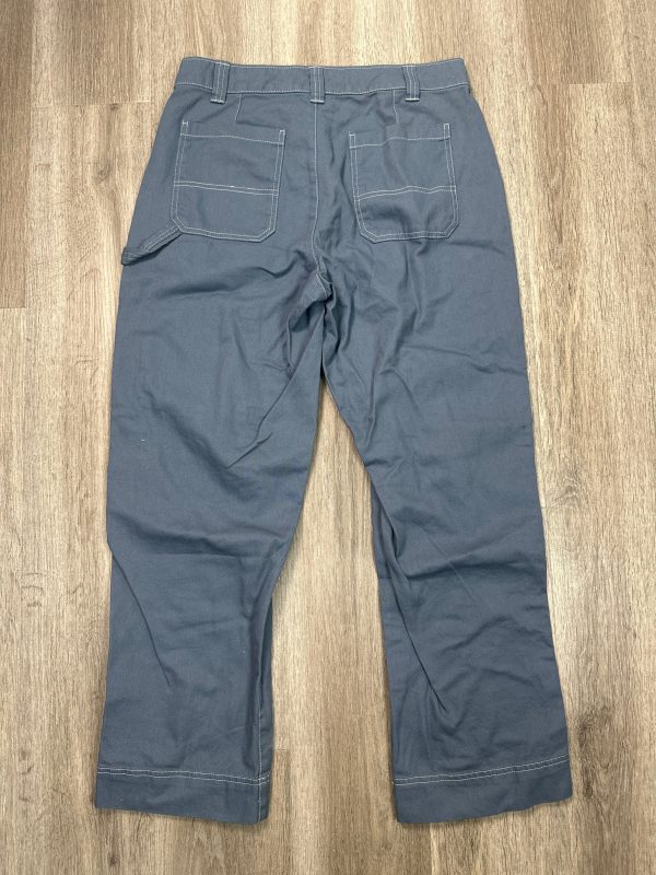 Pants Cargo & Utility By Old Navy In Blue, Size: 10 Fashion