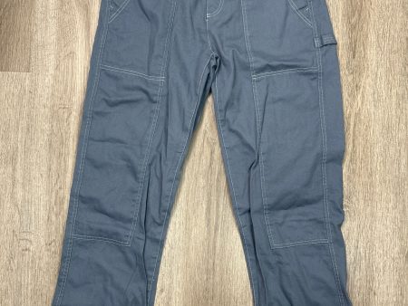 Pants Cargo & Utility By Old Navy In Blue, Size: 10 Fashion