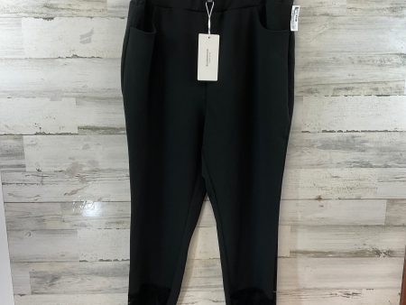 Pants Other By BLOOMCHIC In Black, Size: 18 Fashion